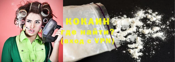 ПСИЛОЦИБИНОВЫЕ ГРИБЫ Богданович