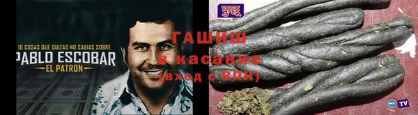 индика Верхний Тагил