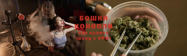 ПСИЛОЦИБИНОВЫЕ ГРИБЫ Богданович