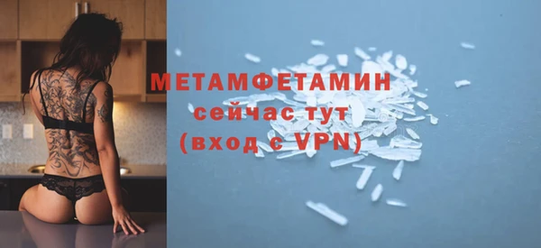 ПСИЛОЦИБИНОВЫЕ ГРИБЫ Богданович