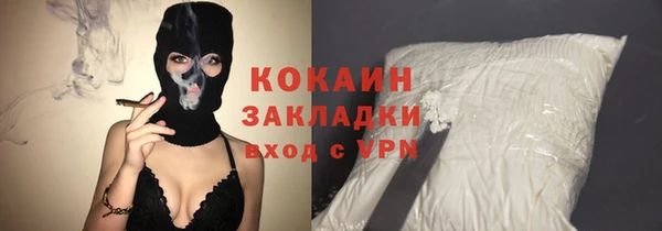ПСИЛОЦИБИНОВЫЕ ГРИБЫ Богданович